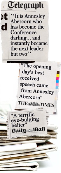 What the papers say